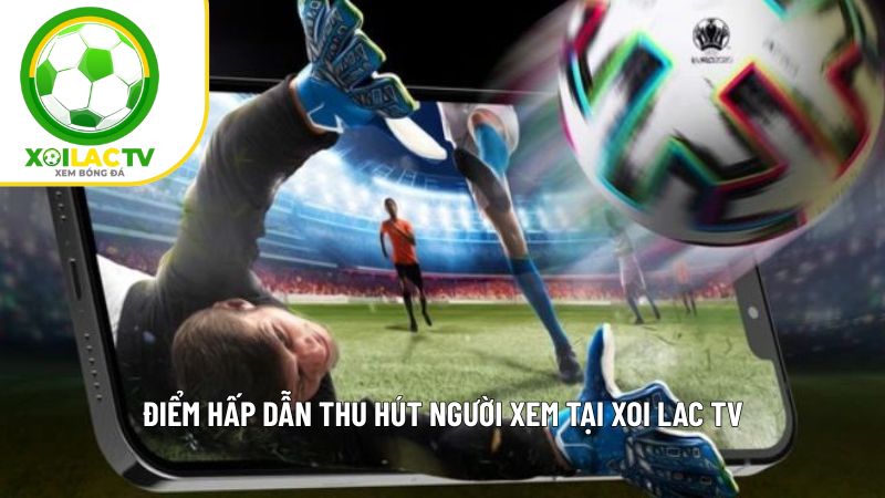 Xoilactvttbd.com - Xem bóng đá Full HD, tốc độ 5G cực mượt