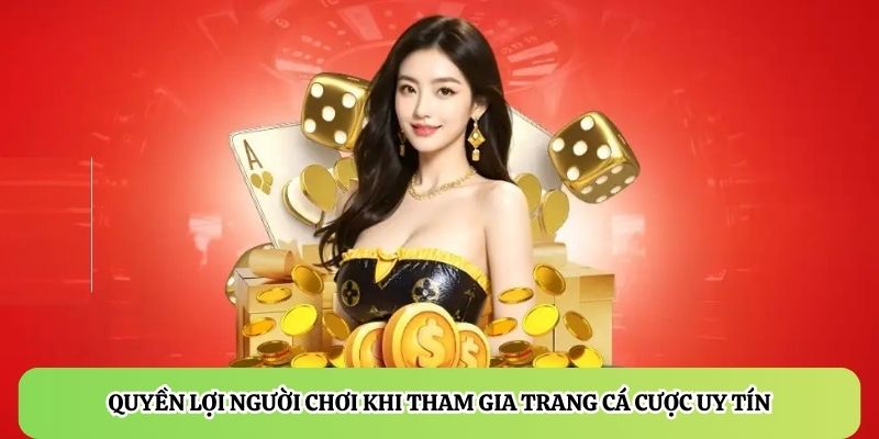 Giá trị bền vững khi duy trì cá cược trên một nhà cái ổn định
