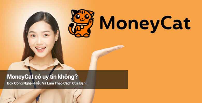 Review Moneycat - Nhược điểm thường gặp và rủi ro “ngầm”
