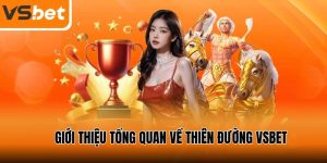 Vsbet.co nhà cái cá cược hỗ trợ 247 nhanh chóng chỉ 1 phút