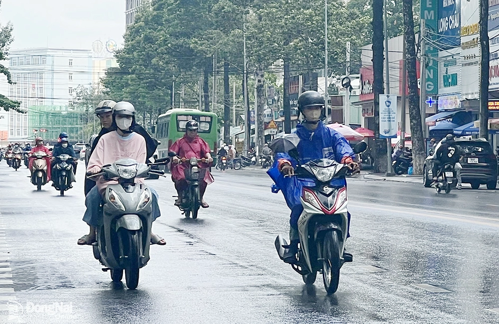 Thời Tiết Thành Phố Biên Hòa - Cách chọn nguồn dự báo và cập nhật đúng lúc