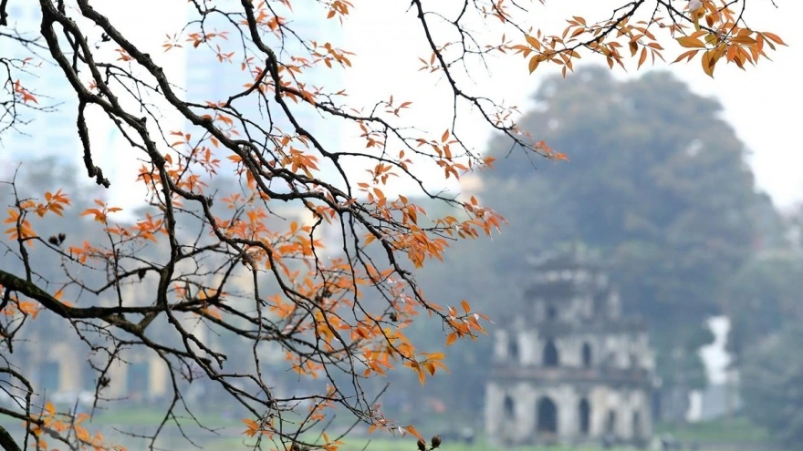 Trò Chơi Của Google Về Năm Ất Tỵ - Lưu ý khi chơi các bản “tái hiện” từ cộng đồng