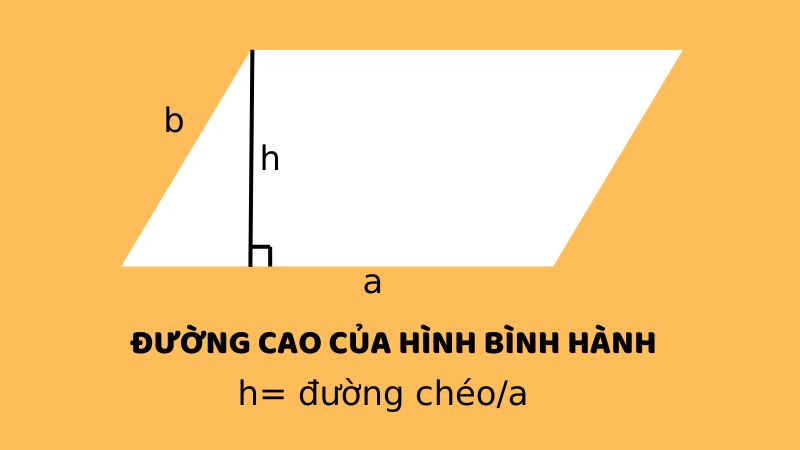 Hình Bình Hành - Dấu hiệu nhận biết nhanh trong bài tập