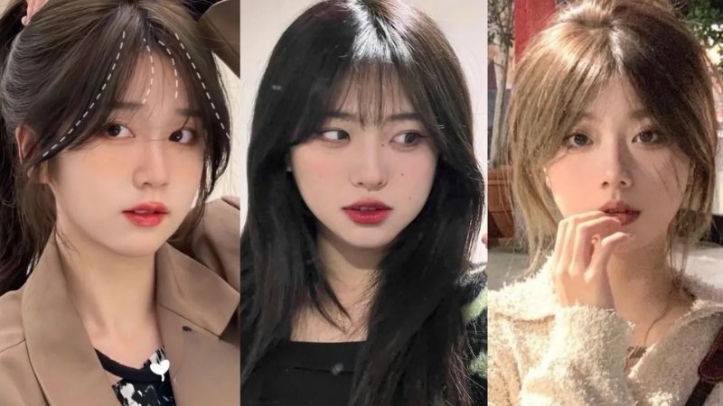 Mái Pháp - Mái Pháp là gì và vì sao đang được yêu thích?