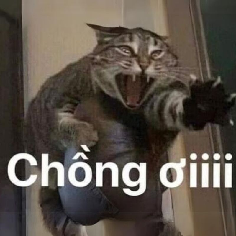 Ảnh meme - 4