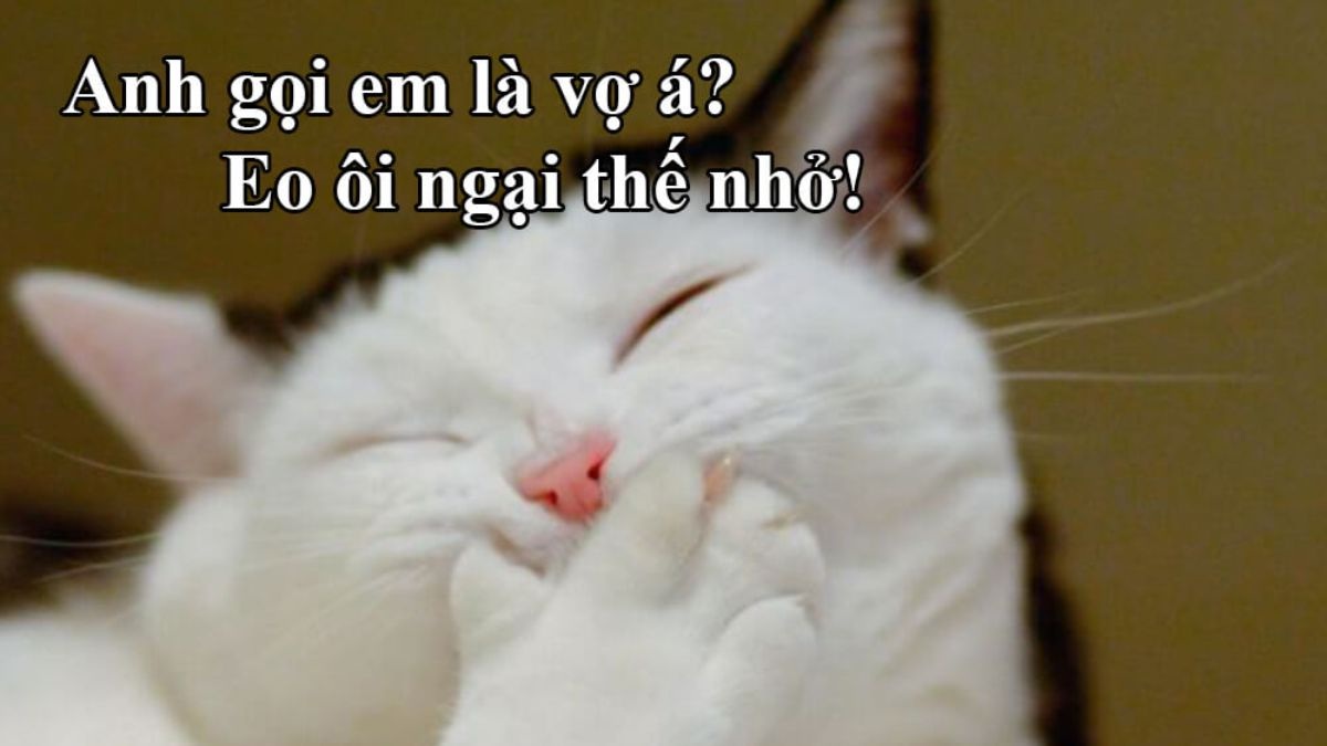 Ảnh meme - 6