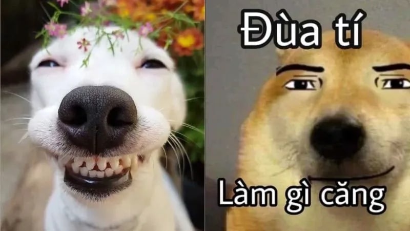 Ảnh meme - 7
