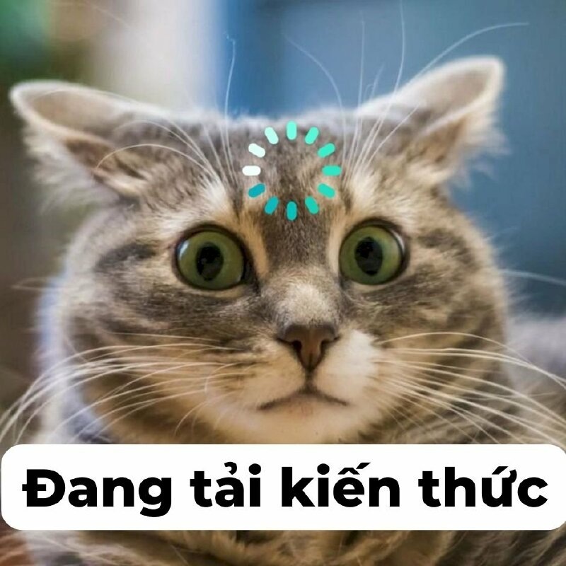 Ảnh meme - 10