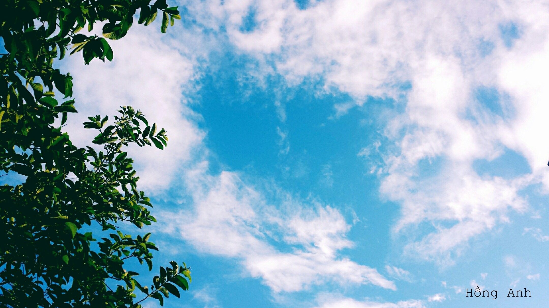Ảnh bầu trời - 14