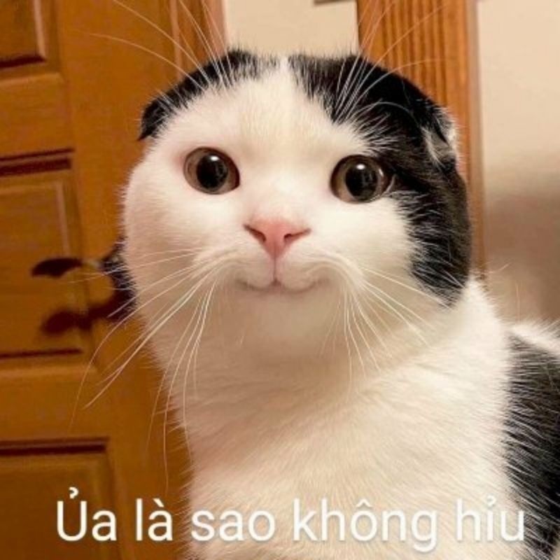 Ảnh meme - 16
