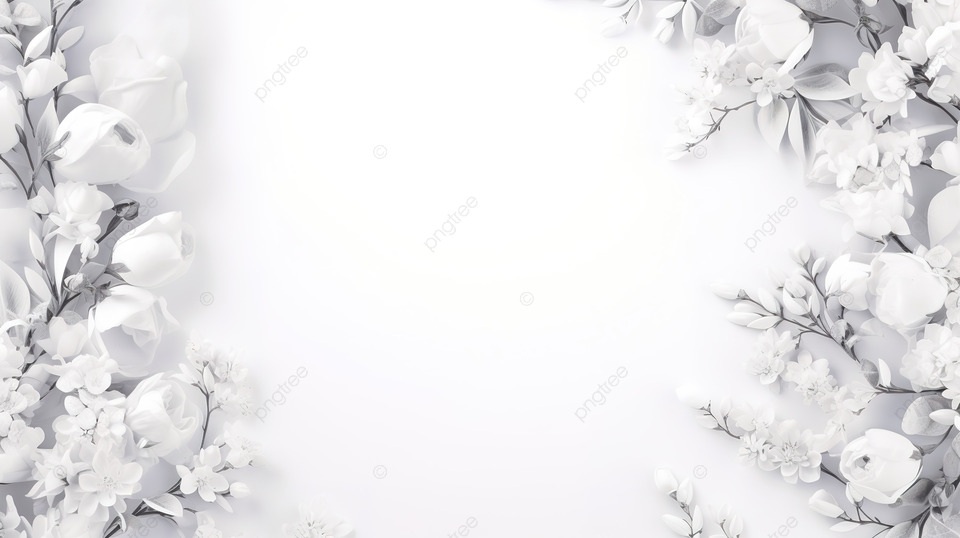 Ảnh trắng - 16