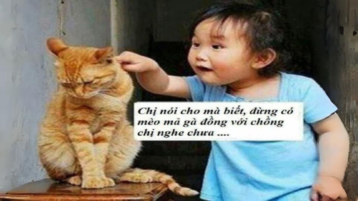 Ảnh meme - 17
