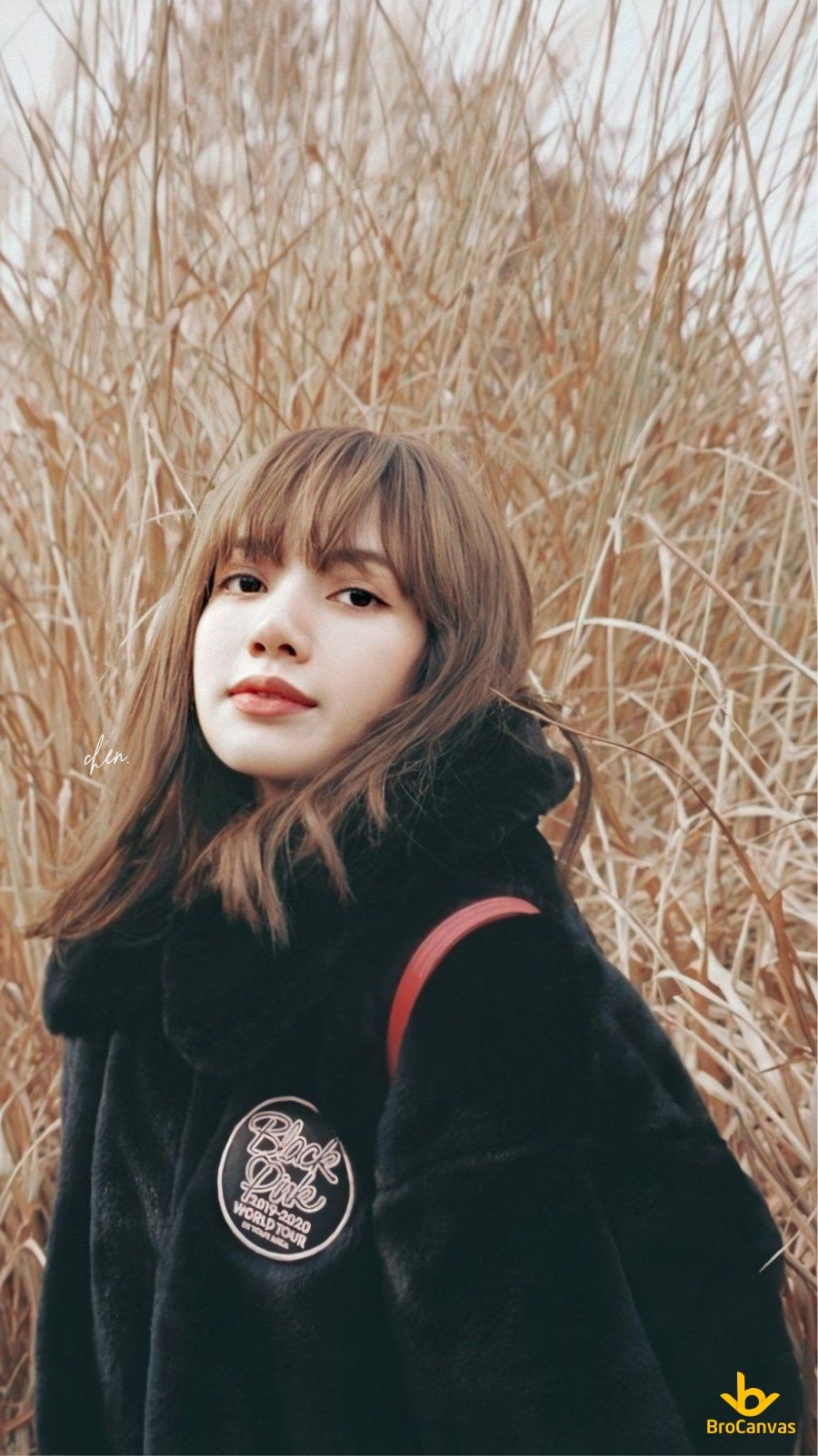 Ảnh Lisa - 29