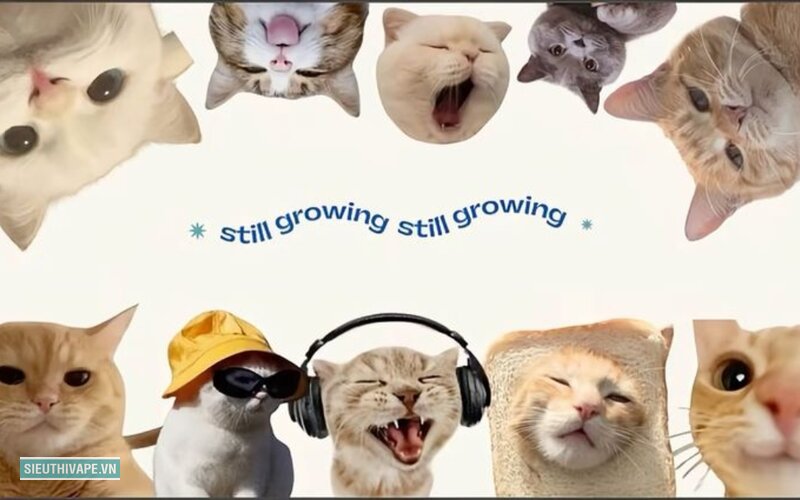 Ảnh vô tri - Ảnh vô tri nghĩa là gì trong cách dùng của giới trẻ Ảnh vô tri - Ảnh vô tri nghĩa là gì trong cách dùng của giới trẻ