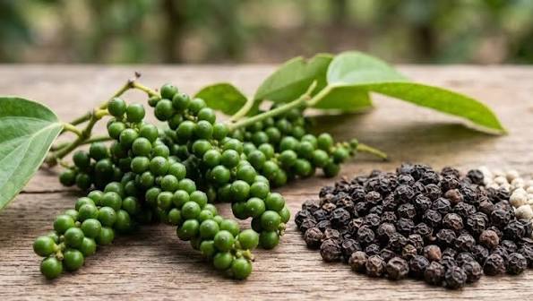 Đọc biểu đồ giá nông sản dài hạn – hướng dẫn cho nhà vườn